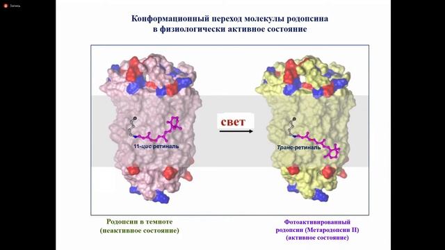 Пленарная лекция ИИКН-2020 4 день: M.А. Островский