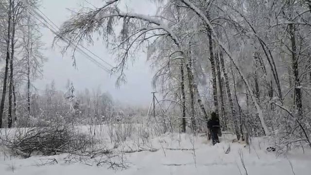 Расчистка просеки ЛЭП от поваленных деревьев смотреть онлайн