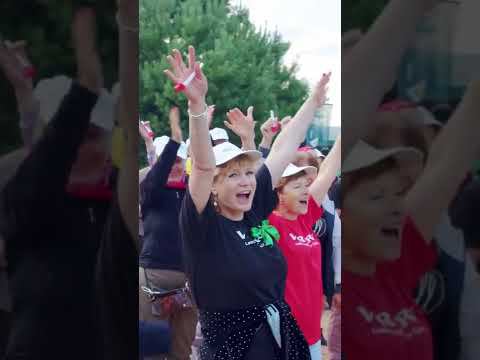VERTERA LEADER OPEN AIR CAMP смотреть онлайн