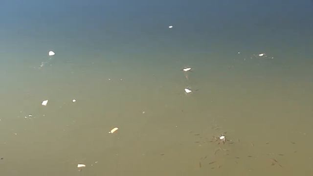 Синевир и солнце смотреть онлайн