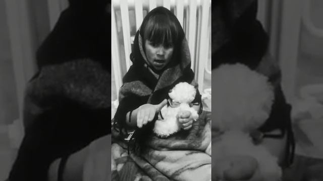 Зубрева Арина 6 лет г Сталинград Стих Ой, Мишка, как же страшно мне Л Тасси смотреть онлайн