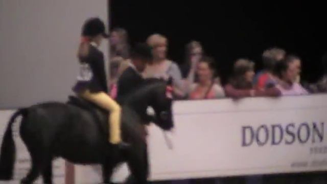 HOYS 2010 LEAD REIN LAP OF HONOUR .. смотреть онлайн
