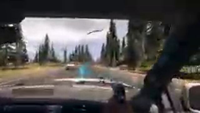 Медвежья нора. Farcry 5. Часть 1. PS4. смотреть онлайн