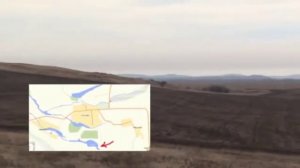 Лебединое озеро у села Урожайное Алтайского Края. Лебеди и водоплавающие на Лебедином озере и Кокша