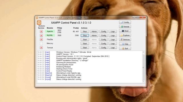 Learn PHP - Download and Install XAMPP смотреть онлайн