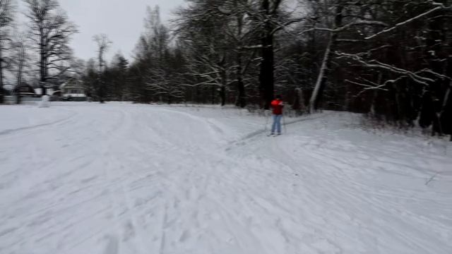 AFI VS-3SD Camera Stabilizer. Стабилизатор с Али Экспресс.