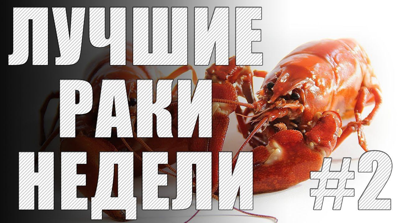 ЛРН выпуск №2 [Лучшие Раки Недели] смотреть онлайн