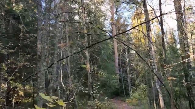 Купить участок на первой линии смотреть онлайн