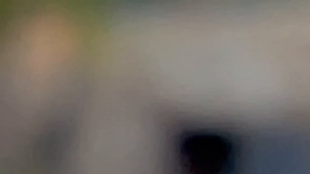 В клетке с тигрицей! Человек зашёл к тигрице посмотреть тигрят! Так может Олег Зубков! Тайган смотреть онлайн