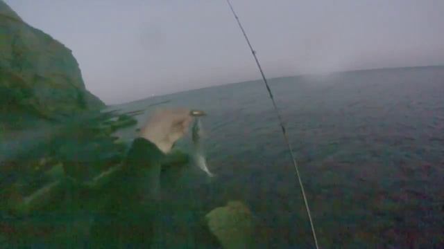 Ловля скорпены в Черном море смотреть онлайн