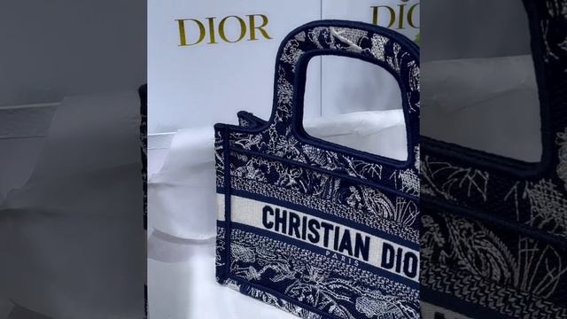 DIOR SHOPPING VLOG ⭐️2021 NEW RELEASES - TRYING ON ALL THE NEW BAGS смотреть онлайн