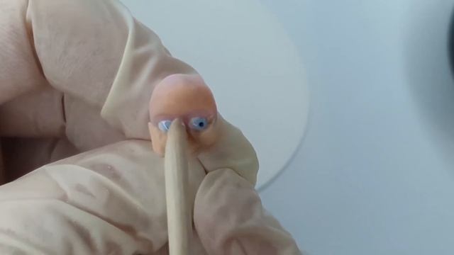 Создание головы для кукольных миниатюр (Поэтапное создание лица). Часть3 смотреть онлайн