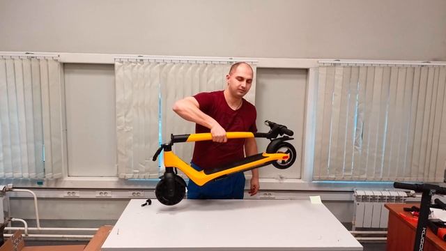 обзор самоката Carmega Indigo  Часть 1