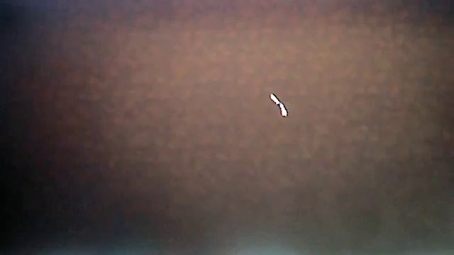 Видео с веб-камеры. Дата: 12 июля 2013 г., 22:39.