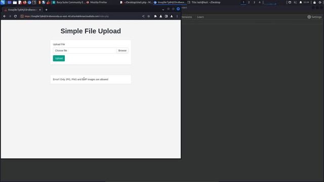 8.4. Bypassing File Upload Extension Filters смотреть онлайн