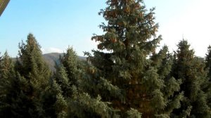 Санаторий "Голубые Ели" Нальчик-2020