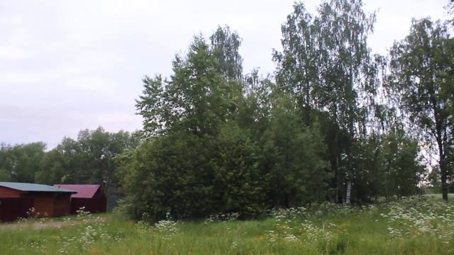 Птицы поют утром в деревне Ведное смотреть онлайн