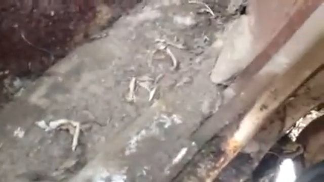 1963 Chevy Corvair Monza Convertible.