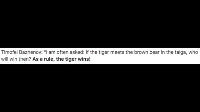 Siberian Tiger vs Ussuri Brown Bear (Reports, Accounts) смотреть онлайн
