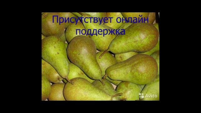 grusha смотреть онлайн