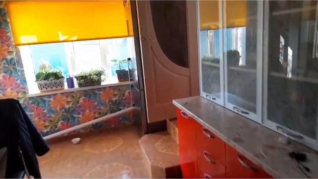 Наряжаем ёлку!Скоро Новый год!  #потолокналетнейкухне#