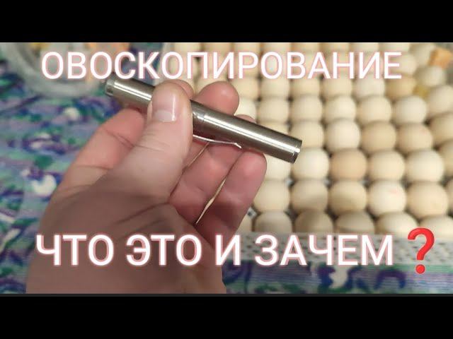 ОВОСКОП - зачем в хозяйстве эта штука? смотреть онлайн