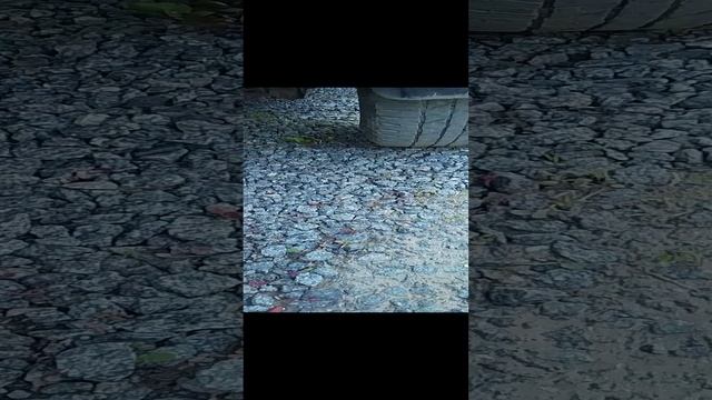 ааааааа не знаю что сюда писать смотреть онлайн