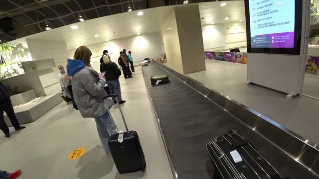 #1.Улетаю в КРЫМ! ? Как добраться из аэропорта Симферополя до Ялты на автобусе и где купить билет? смотреть онлайн