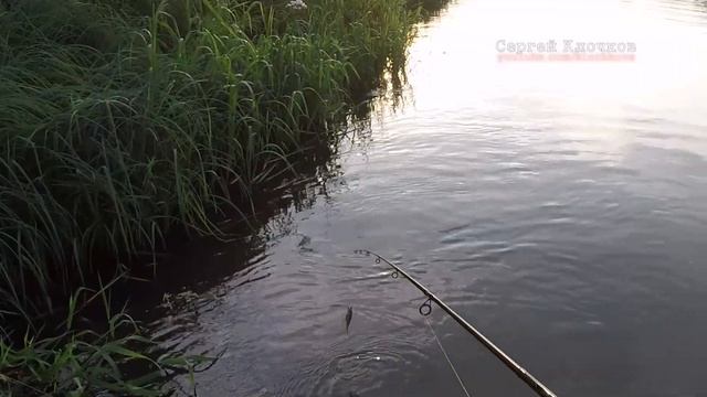 Рыбалка на спиннинг Мокша Мордовия как ловить щуку летом смотреть онлайн