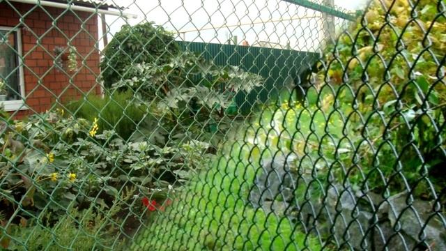 Забор из сетки рабицы смотреть онлайн