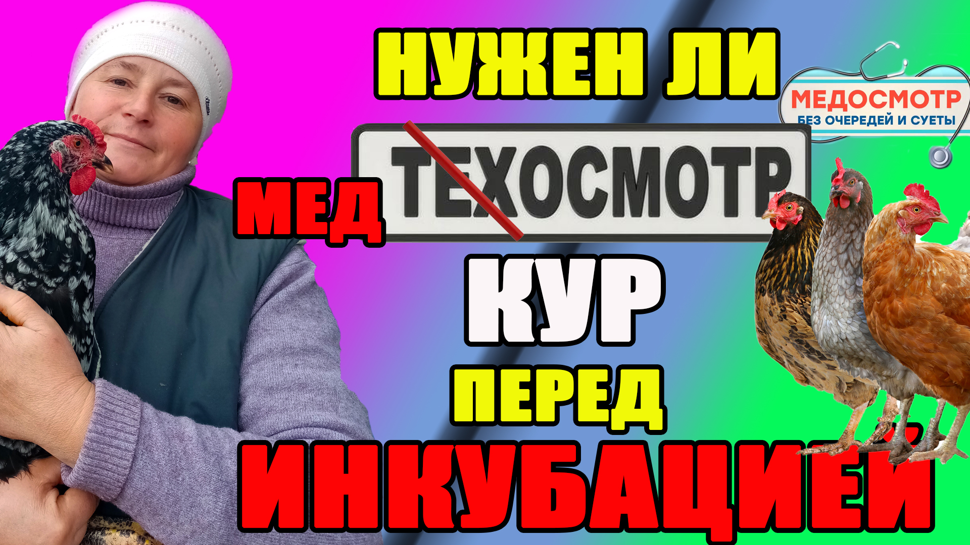 МЕДОСМОТР кур перед инкубацией. смотреть онлайн