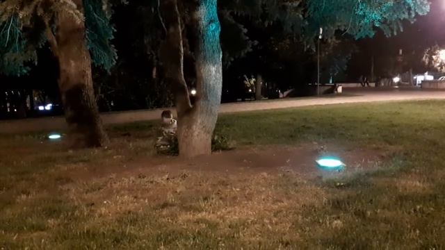 У фонтана смотреть онлайн