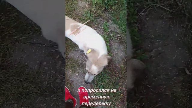 История Камышина смотреть онлайн