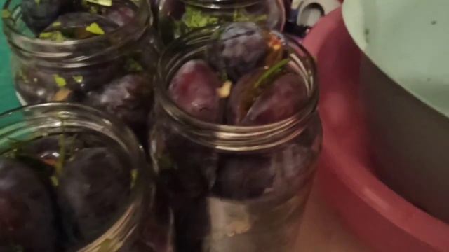 Маринованные сливы.. Сливы на зиму.. смотреть онлайн