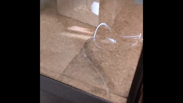 Первый запуск аквариума 300 литров смотреть онлайн