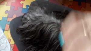 Шерсть меняет цвет... От какого до какого?