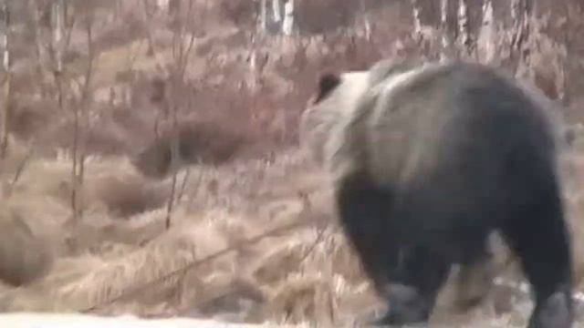 Этюды на Мяо-Чане. Глемпинг-Эвен смотреть онлайн