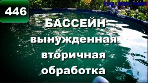 БАССЕЙН  обработка  - вторичная.  БЕЛИЗНА и МЕДНЫЙ КУПОРОС для бассейна