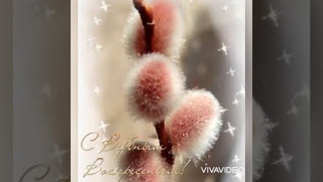 #Вербное_Воскресенье#поздравляю#видео_открытка С праздником Братья ❤ и Сёстры ❤