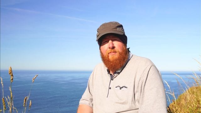 Stop doing this for great bird in flight photos смотреть онлайн