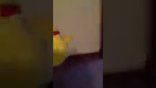 Playing with angry bird plush toys 5 meet pink bird смотреть онлайн