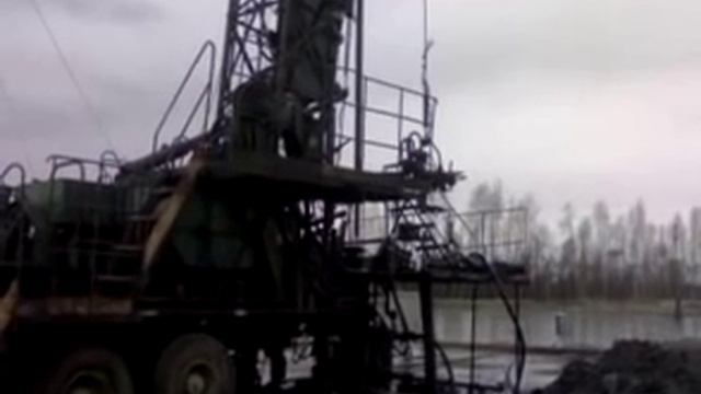 Выброс у крс