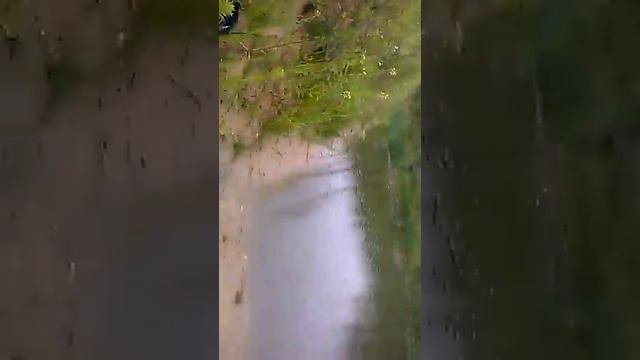 2 рыбака поймали 1- у рыбку на 2 удочки смотреть онлайн