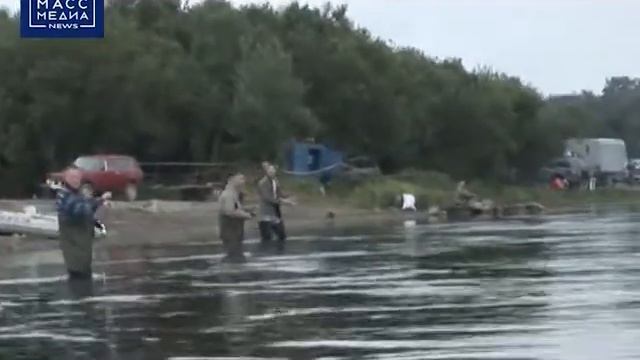 «СОХРАНИМ ЛОСОСЕЙ ВМЕСТЕ!» смотреть онлайн