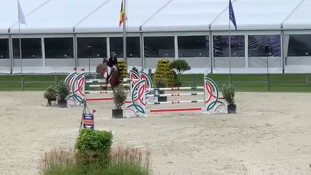Gudrun Patteet & No mercy van ‘t kamerveld Z 7j (day 2) CSI3* Beervelde смотреть онлайн