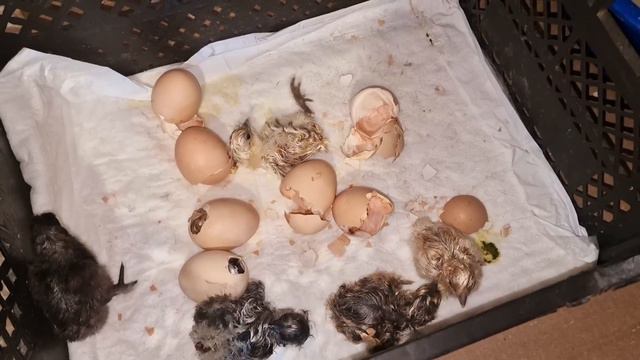 пока так! смотреть онлайн