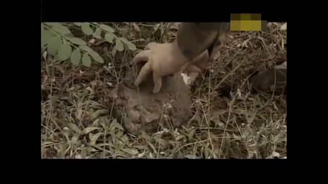 Серия Документальных фильмов Советская Разведка. Операция Охота на Иуду!
