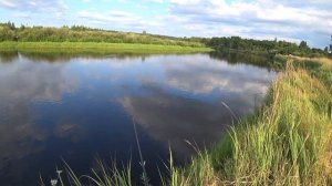 Рыбалка на реке Березина. Ловля плотвы на полудонку!