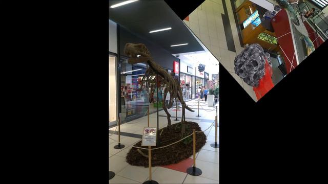 Динозавры выставка Футурум Градец-Кралове смотреть онлайн