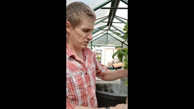 Crazy Farming Ep 1 смотреть онлайн